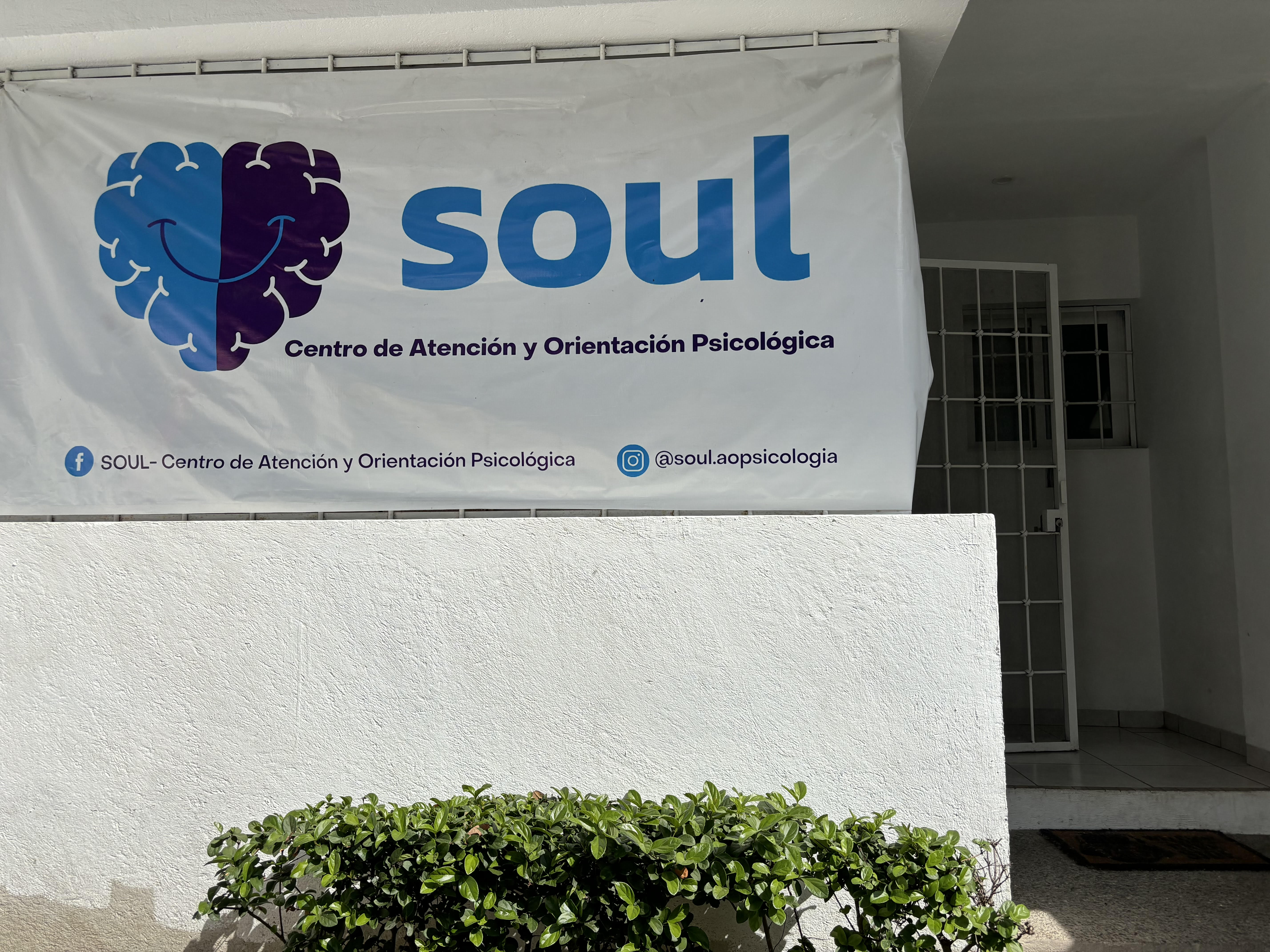 Soul – Psicologia